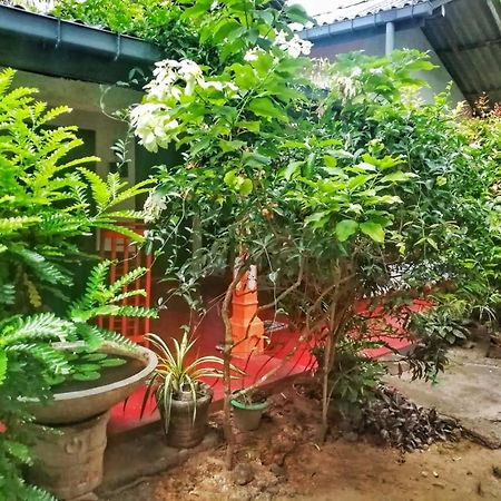 Senith Guest House Mirissa Luaran gambar