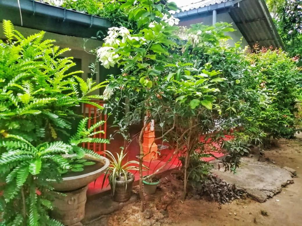 Senith Guest House Mirissa Luaran gambar