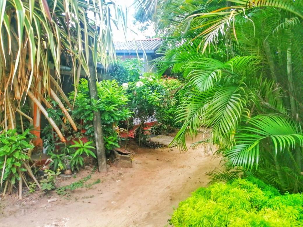 Senith Guest House Mirissa Luaran gambar