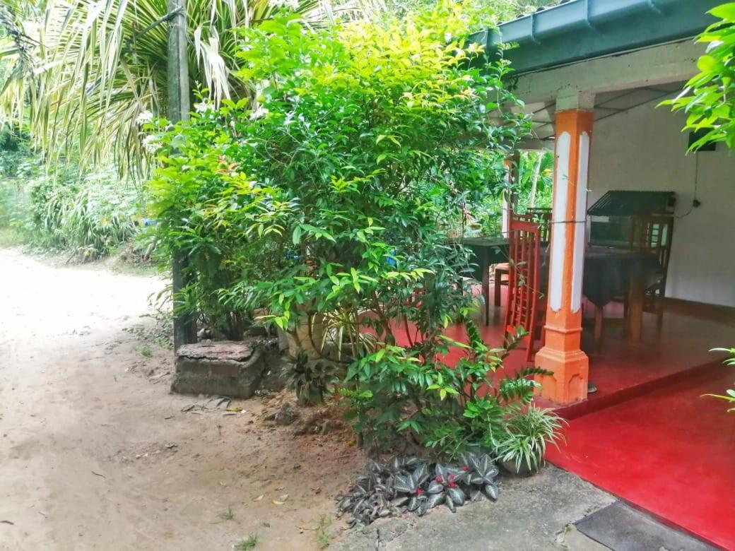 Senith Guest House Mirissa Luaran gambar